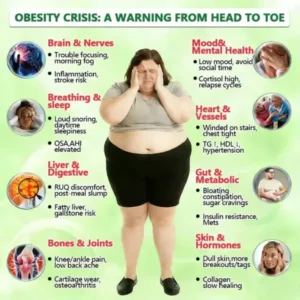 𝐀𝐮𝐬𝐬𝐢𝐞 𝐃𝐨𝐜𝐭𝐨𝐫 𝐑𝐞𝐜𝐨𝐦𝐦𝐞𝐧𝐝𝐞𝐝 👨‍⚕️ | 𝑴𝑼𝑹𝑾𝑶𝑵® Moringa & Berberine 10-IN-1 Advanced Nano Microneedle Patch