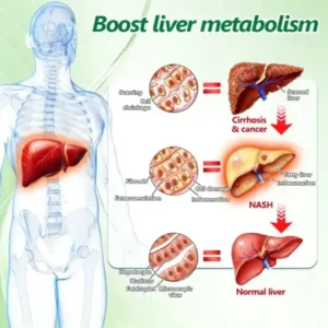 𝐀𝐮𝐬𝐬𝐢𝐞 𝐃𝐨𝐜𝐭𝐨𝐫 𝐑𝐞𝐜𝐨𝐦𝐦𝐞𝐧𝐝𝐞𝐝 👨‍⚕️ | 𝑴𝑼𝑹𝑾𝑶𝑵® Moringa & Berberine 10-IN-1 Advanced Nano Microneedle Patch