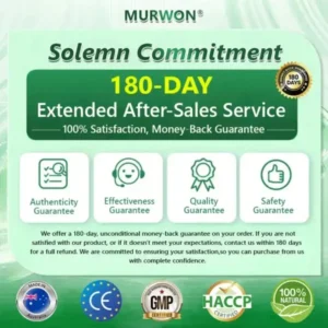 𝐀𝐮𝐬𝐬𝐢𝐞 𝐃𝐨𝐜𝐭𝐨𝐫 𝐑𝐞𝐜𝐨𝐦𝐦𝐞𝐧𝐝𝐞𝐝 👨‍⚕️ | 𝑴𝑼𝑹𝑾𝑶𝑵® Moringa & Berberine 10-IN-1 Advanced Nano Microneedle Patch