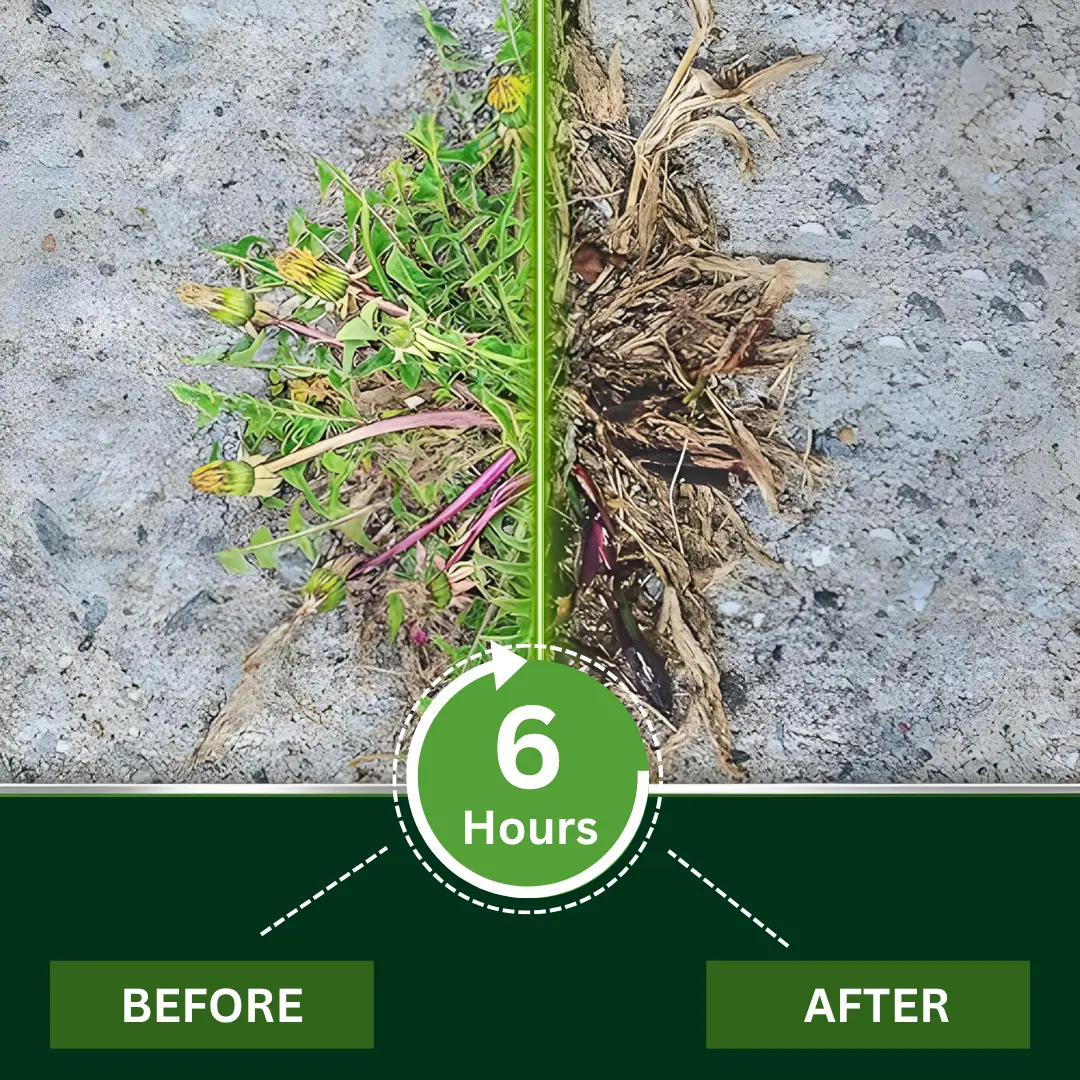 ATTDX® WeedClear 2-in-1 Max Power Herbicide